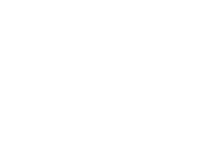 logo light